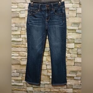 AMERICAN EAGLE Artist Crop Jeans Next Level Stretch Size‎ 4 Short